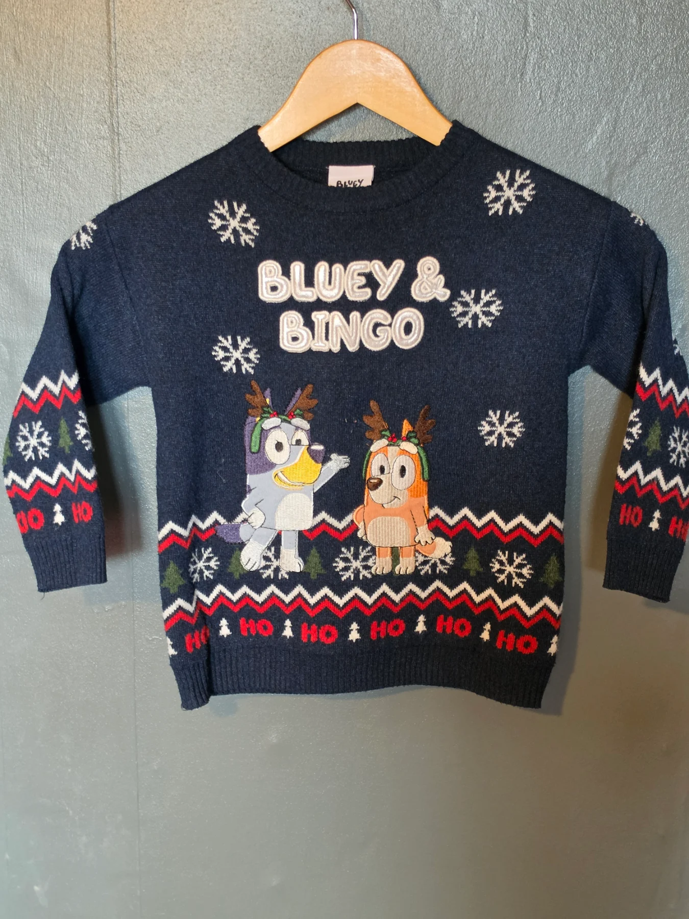 Official Tu Kids Bluey & Bingo Christmas Jumper | 3-4 Years (98-104cm)