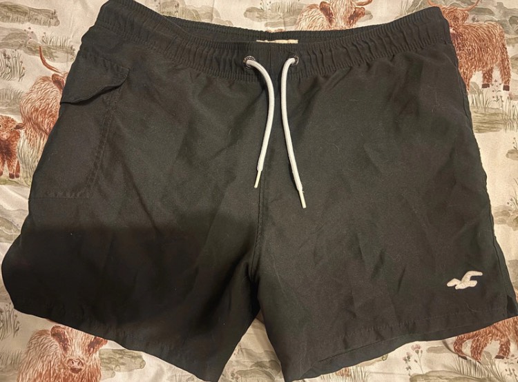 Hollister  designer shorts