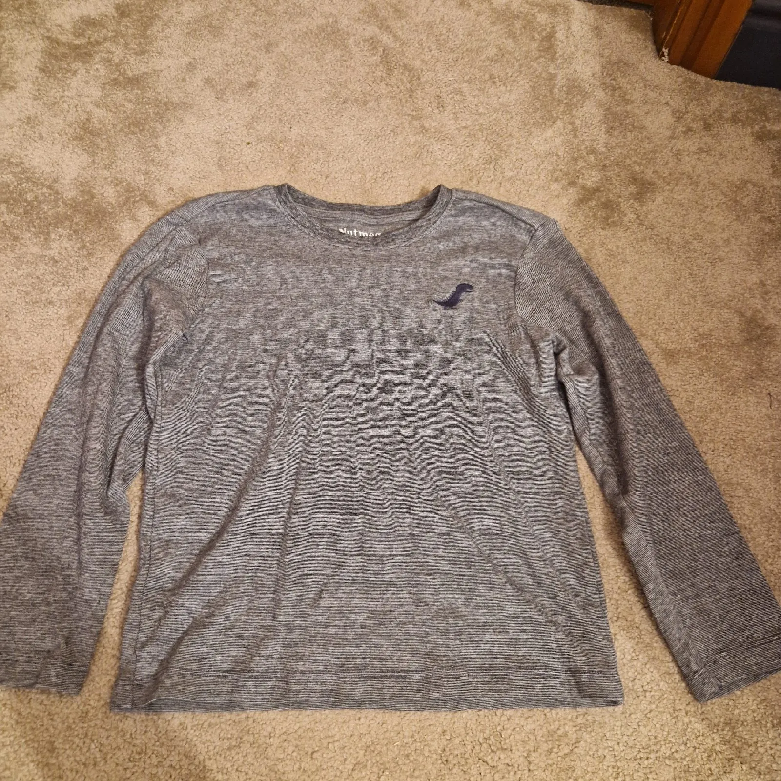 Nutmeg Boys Grey Long Sleeve Dinosaur T-Shirt Age 9-10 Years 100% Cotton