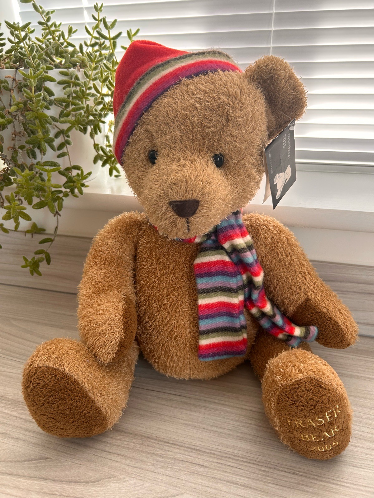 House of Fraser 2005 Fraser Bear with Hat and Scarf Great Condition