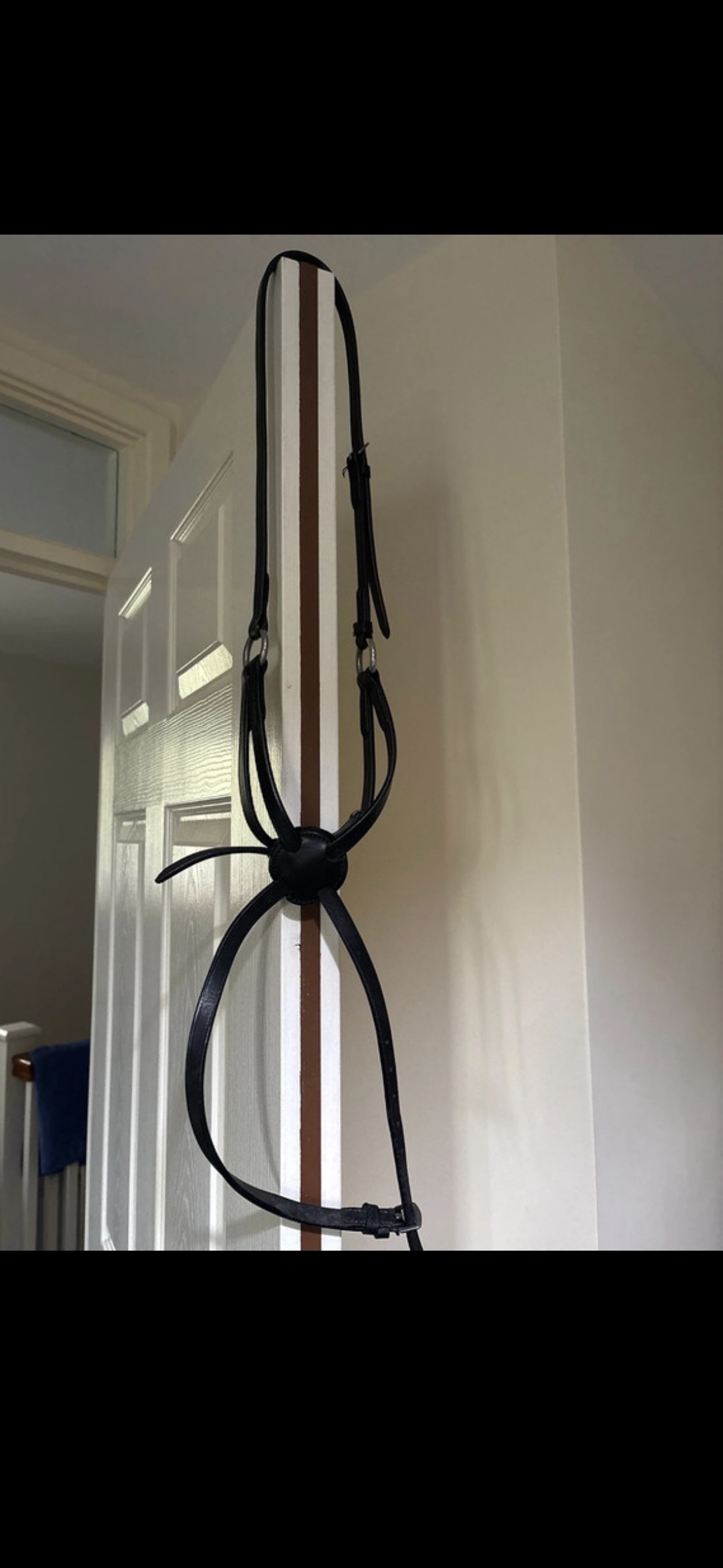 Mexican style grackle noseband