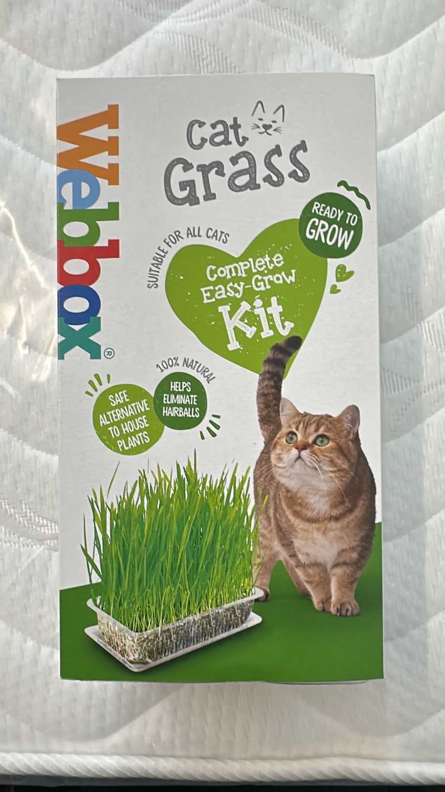 Webbox cat grass kit 120g