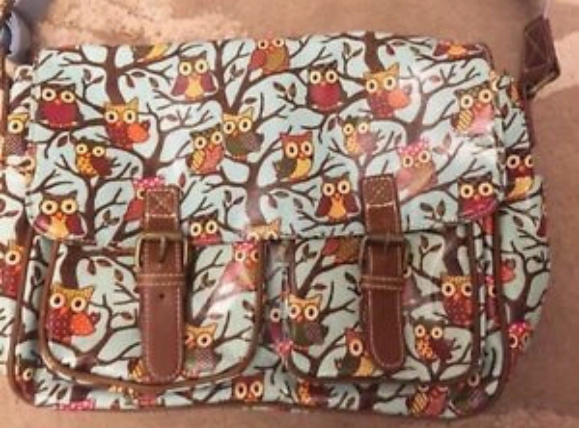 Children’s Bag Satchel Back To School Bag Blue Owl Design Excellent Condition