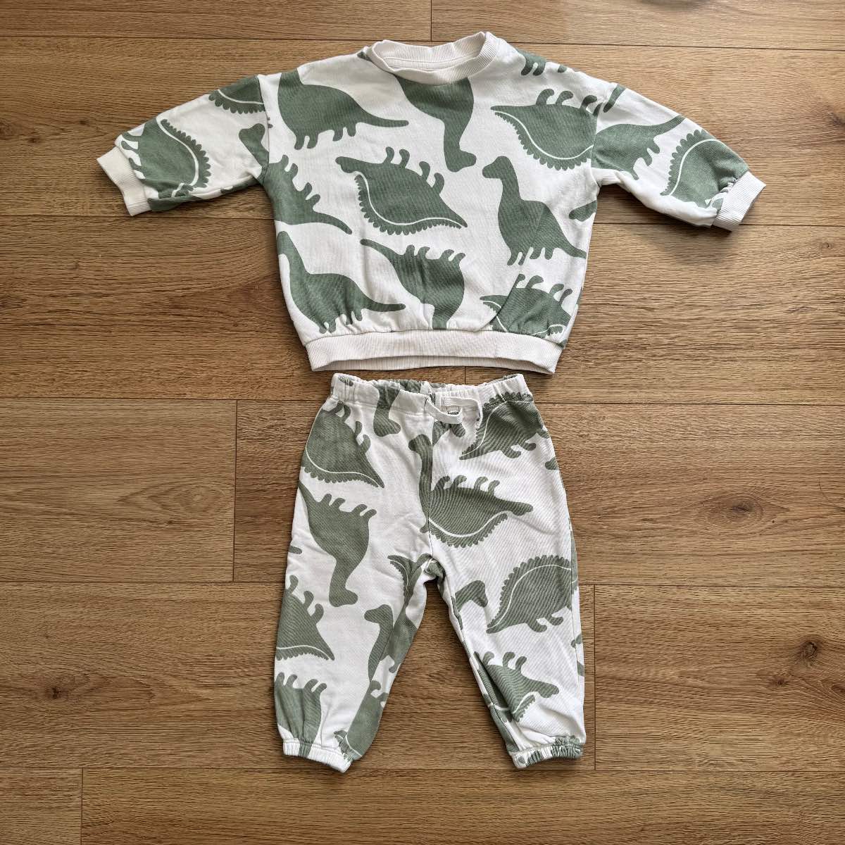 H&M Dinosaur White & Green Sweatshirt Jumper & Joggers Pants Set Tracksuit Co-Ord 9-12 Months