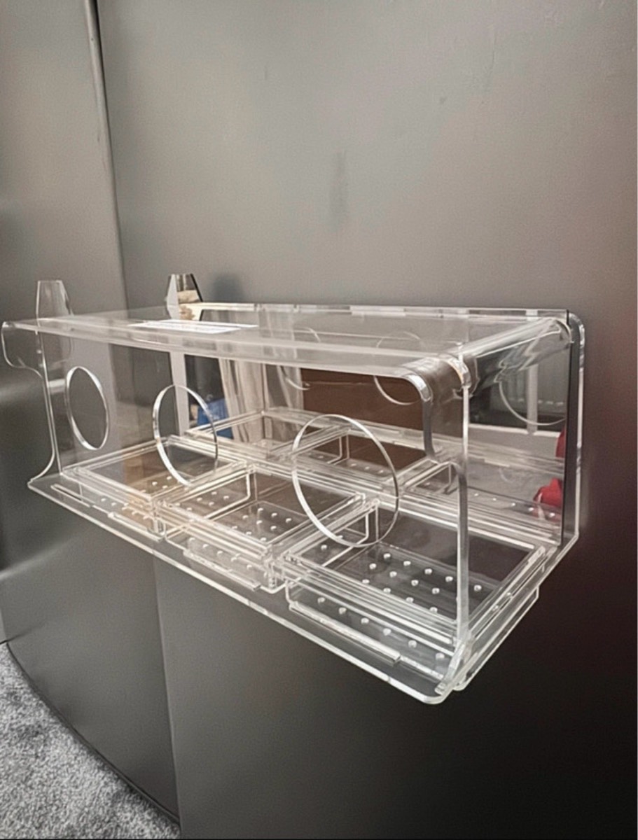 Window Bird Feeder clear