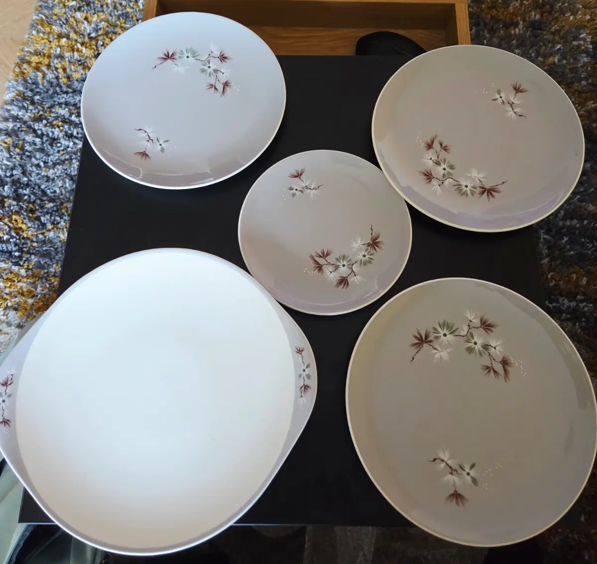 Royal Doulton Frost Pine D6450 – 5‑Piece Plate Set
