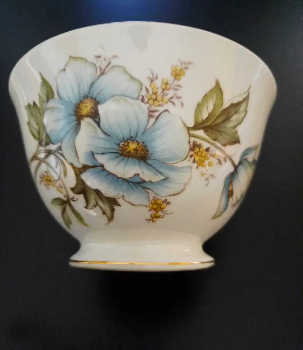 Queen Anne bone china sugar bowl