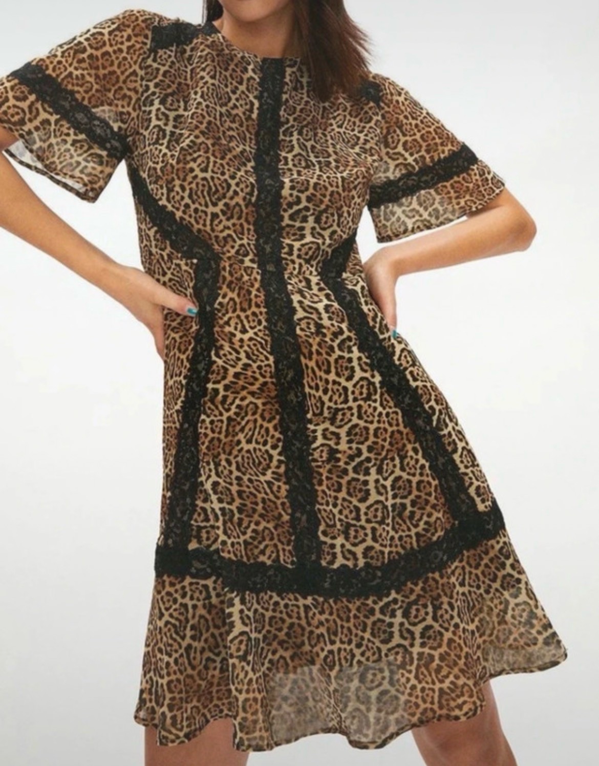 Coast leopard print & lace dress