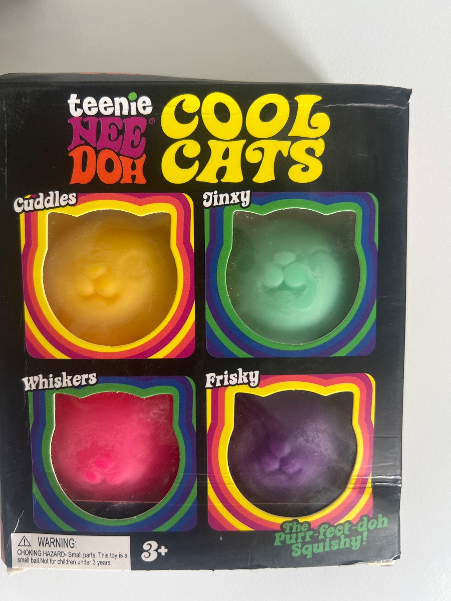 NeeDoh CoolCat 4 Small Squishy New