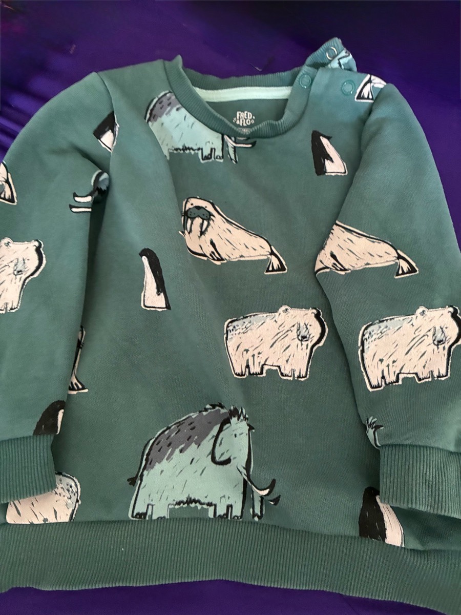Fred & Flo Teal Arctic Animals Sweatshirt & Joggers Tracksuit Set 12-18 Months