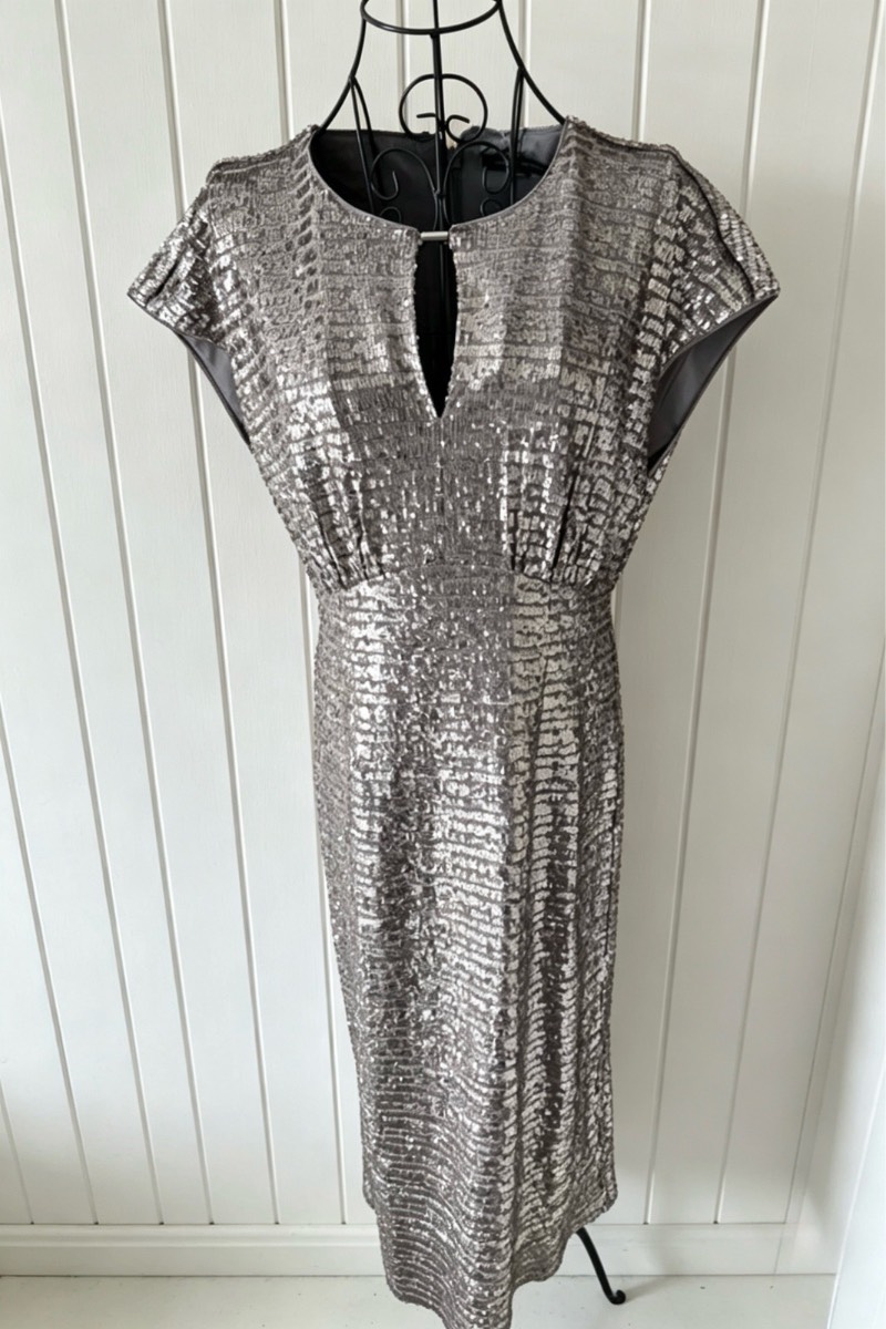 French connection embellished dress