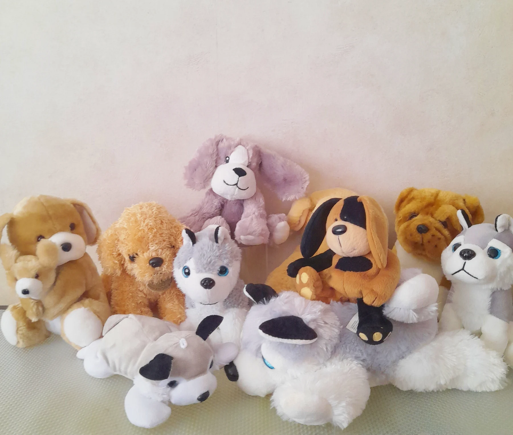 Soft Toy Bundle of cute Puppy Dogs bulldog husky Lab etc soft toy dogs job lot