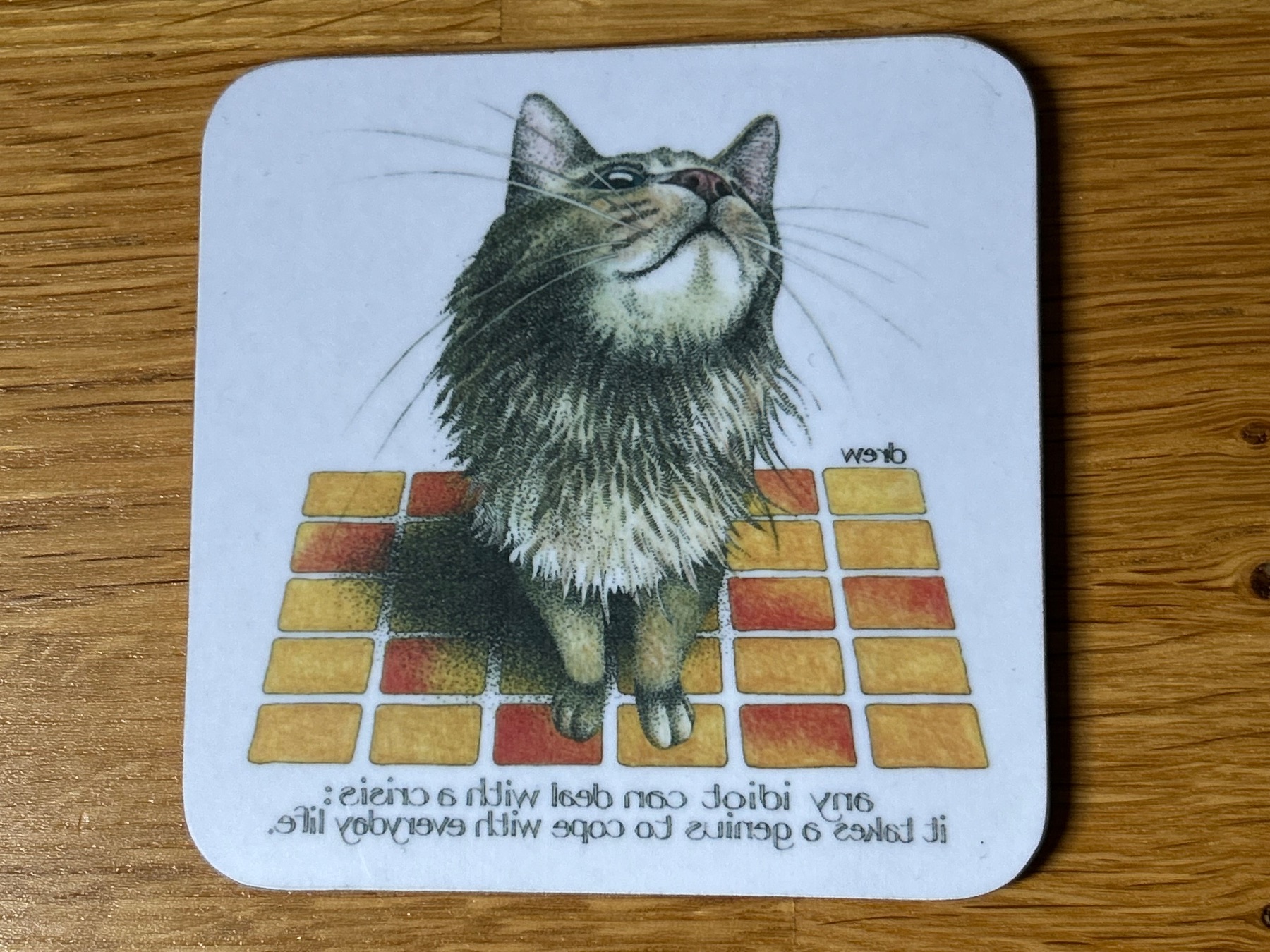 Cat drinks coaster