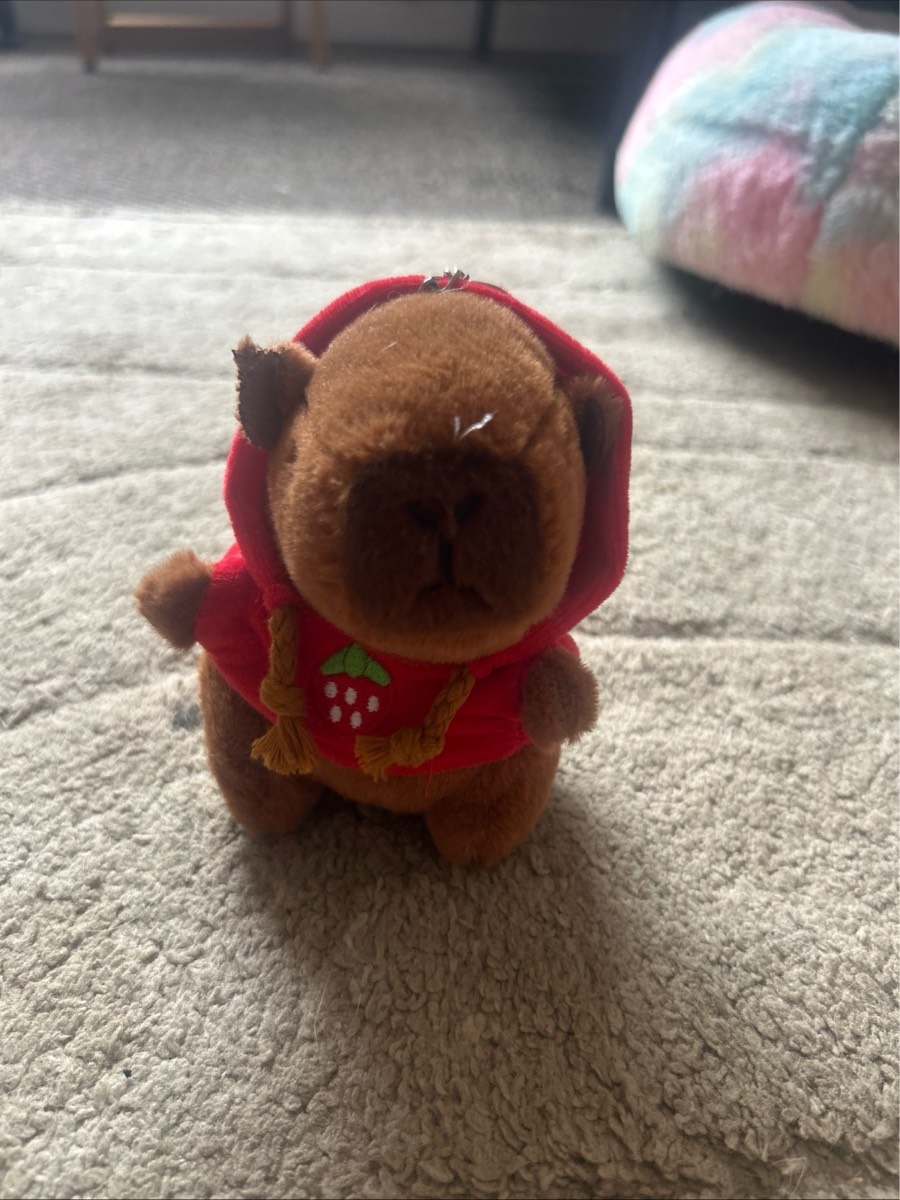 Capybara Plush Keyring Strawberry Stuffed Animal
