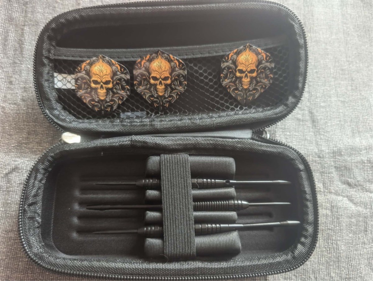 20 gram darts with case