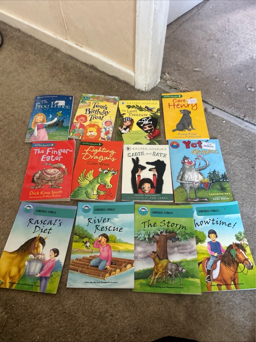 Early reading book bundle