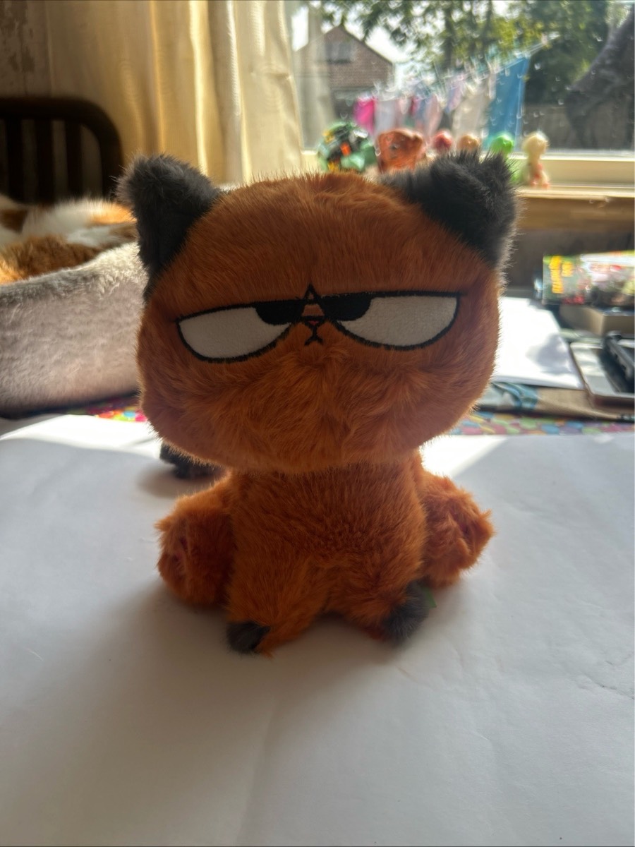 Orange Cat Plush Toy 25cm Soft Toy Soft Kawaii Stuffed Animal Gift