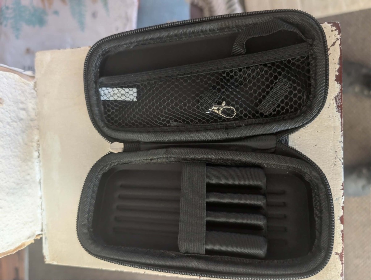 Dart case