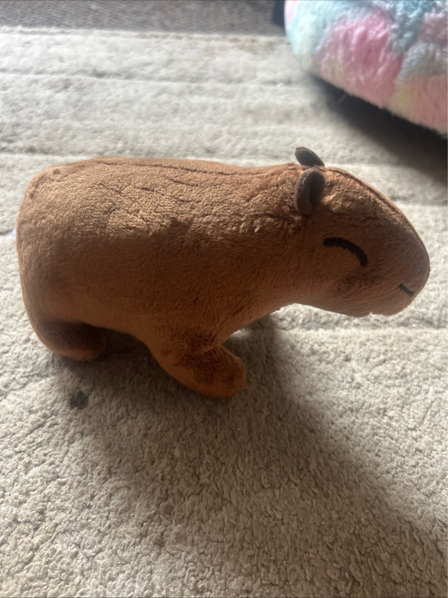 Capybara plush