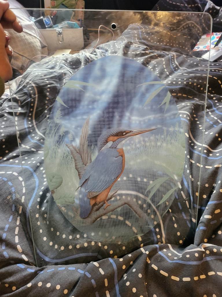 Kingfisher decorative art glass panel