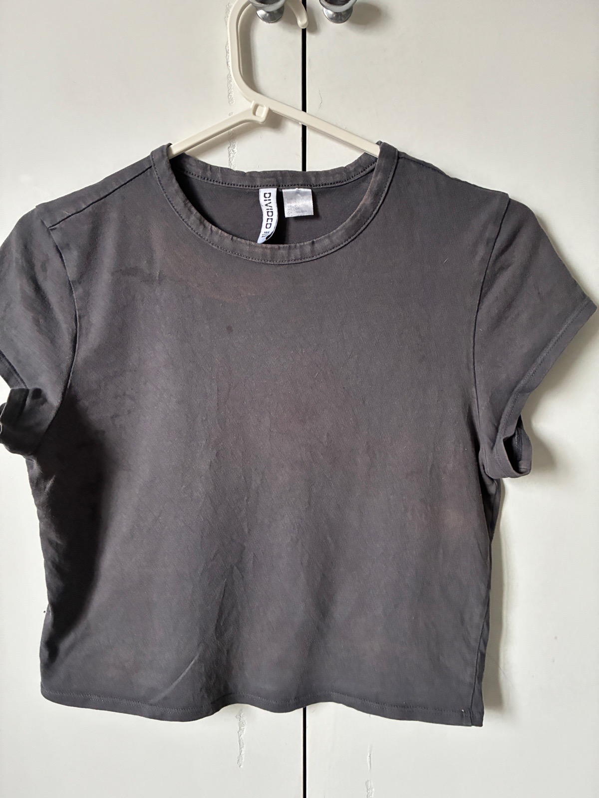 Divided cropped t shirt