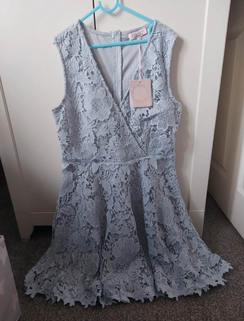 BNWT Ladies Size L Amy Lynn Blue Flower Flowing Skater Type Dress