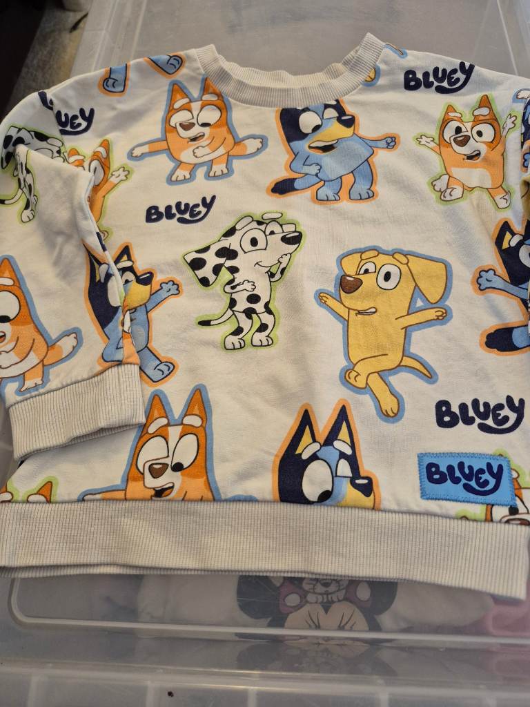 bluey jumper