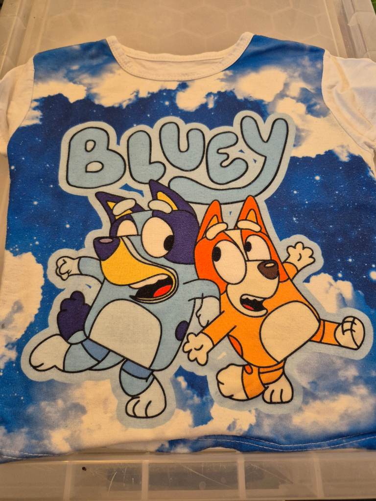 bluey top