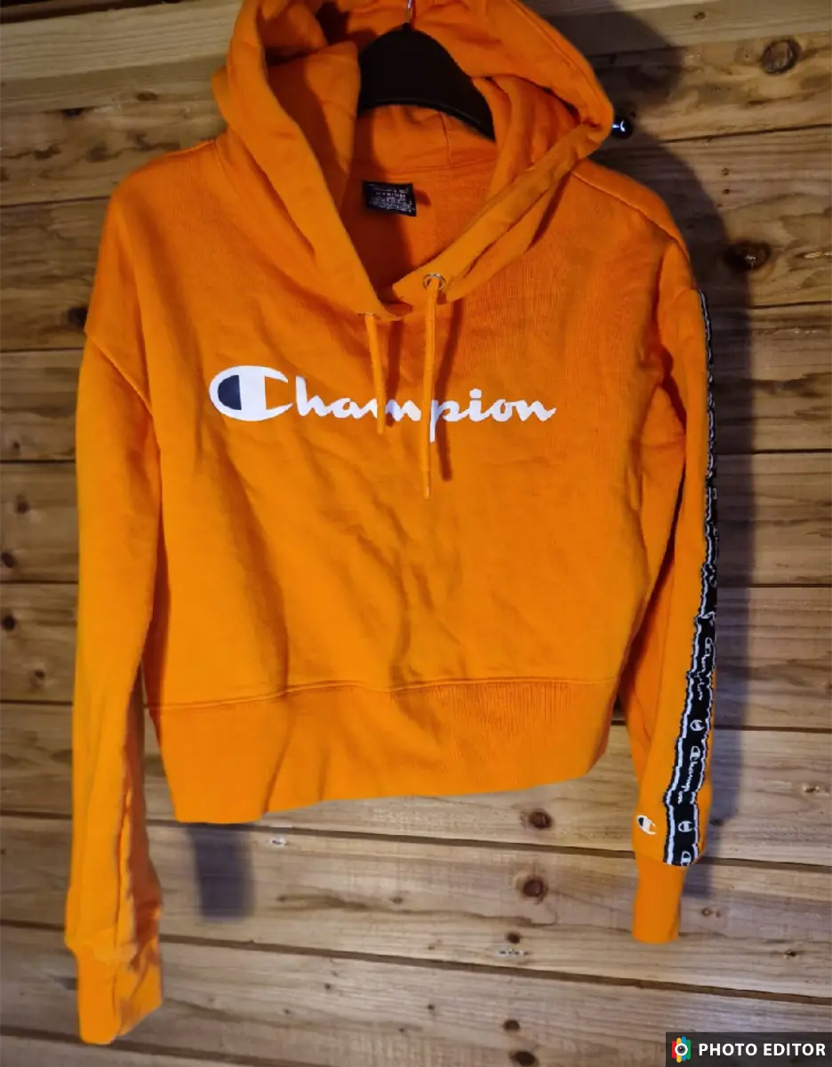 Champion Cropped Hoodie 12