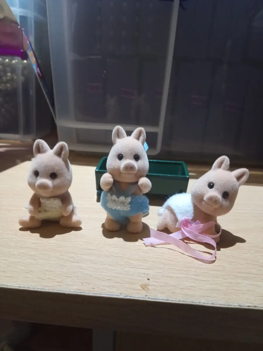 Truffle wild boar babies