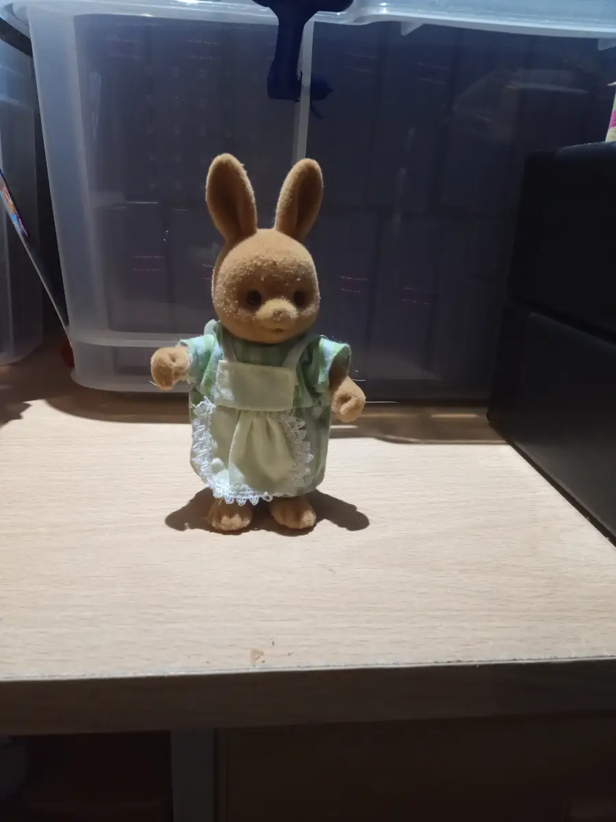Patty Rabbit