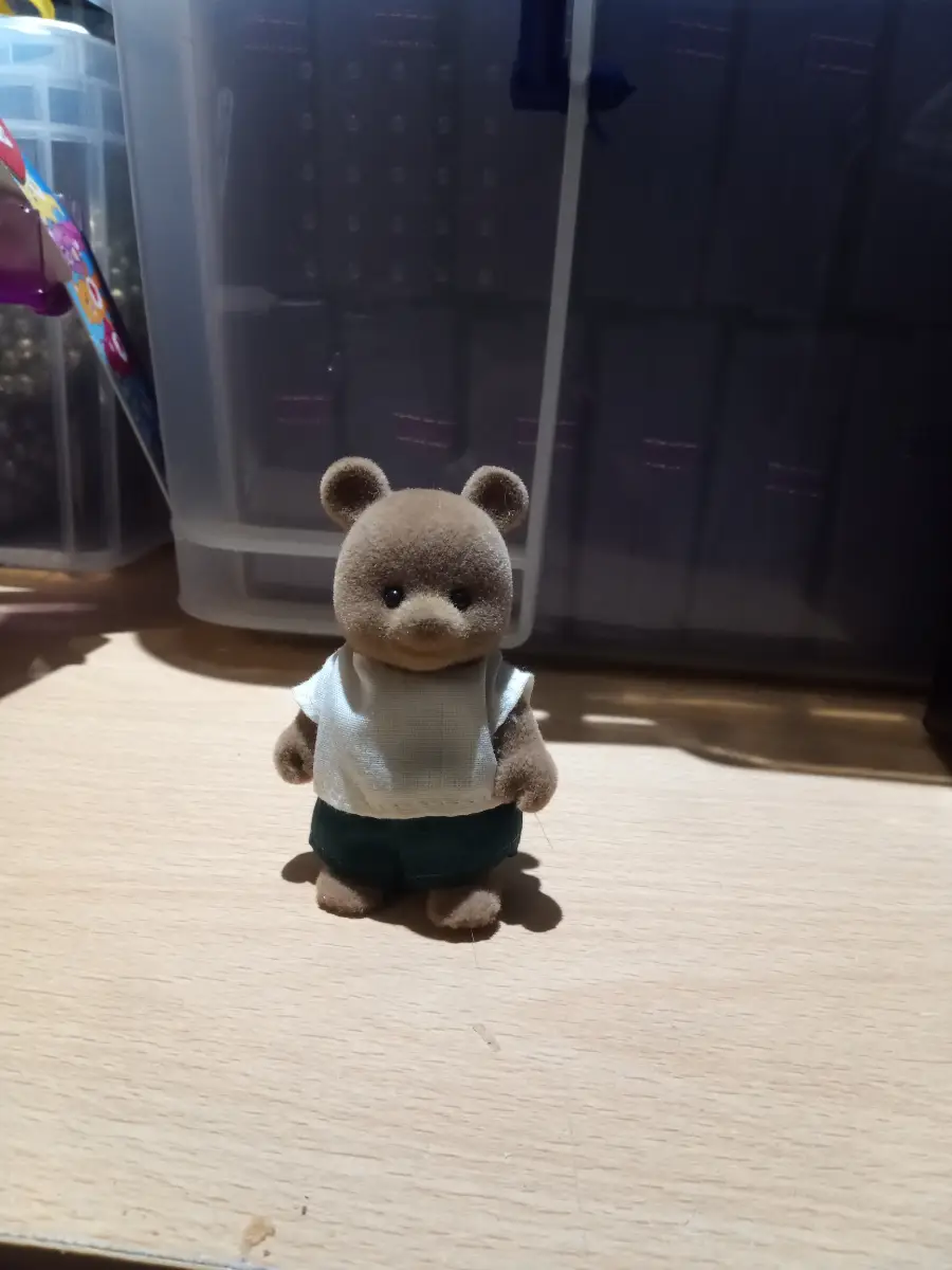 Bobby Bear