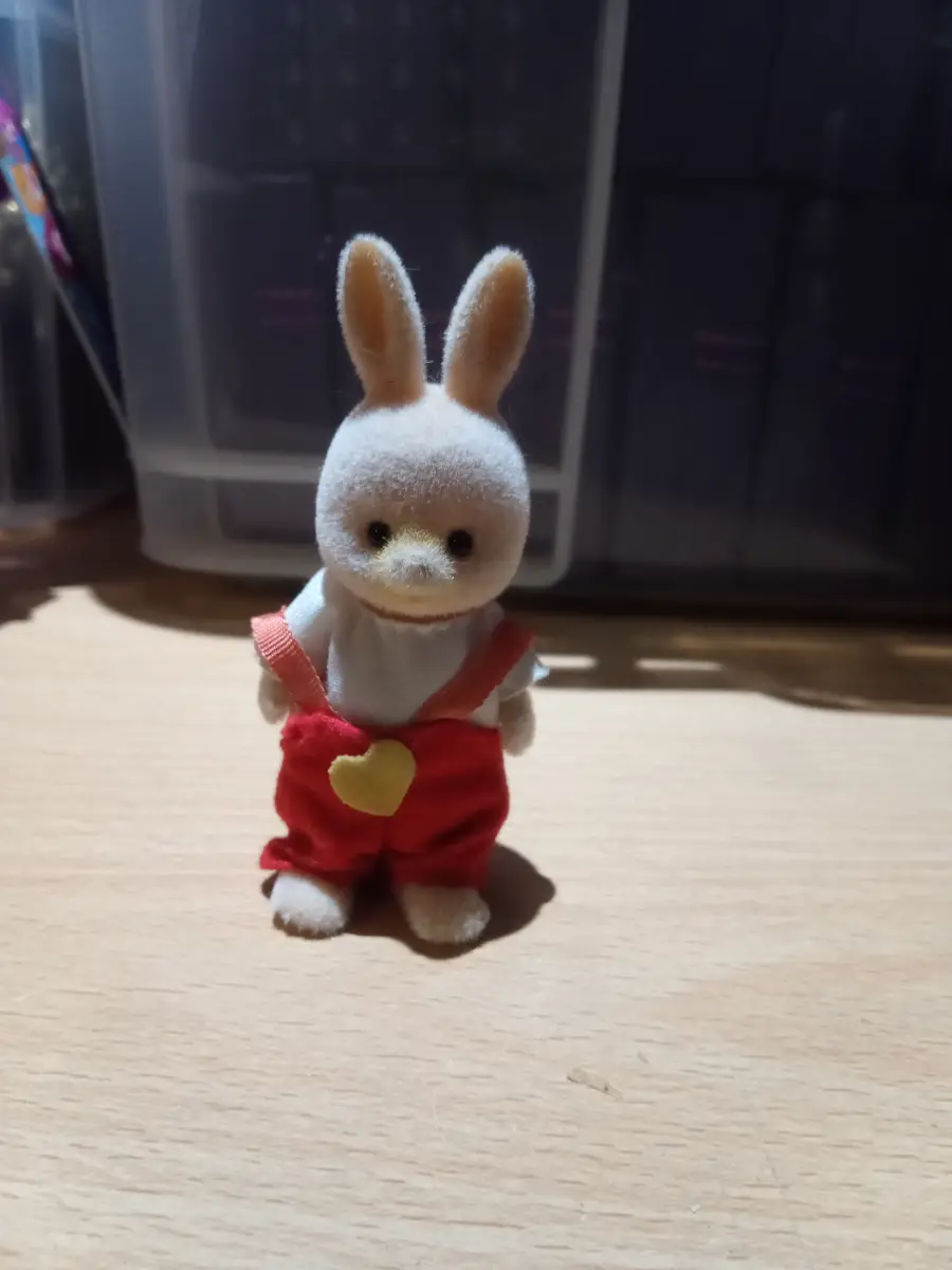 Chocolate rabbit baby