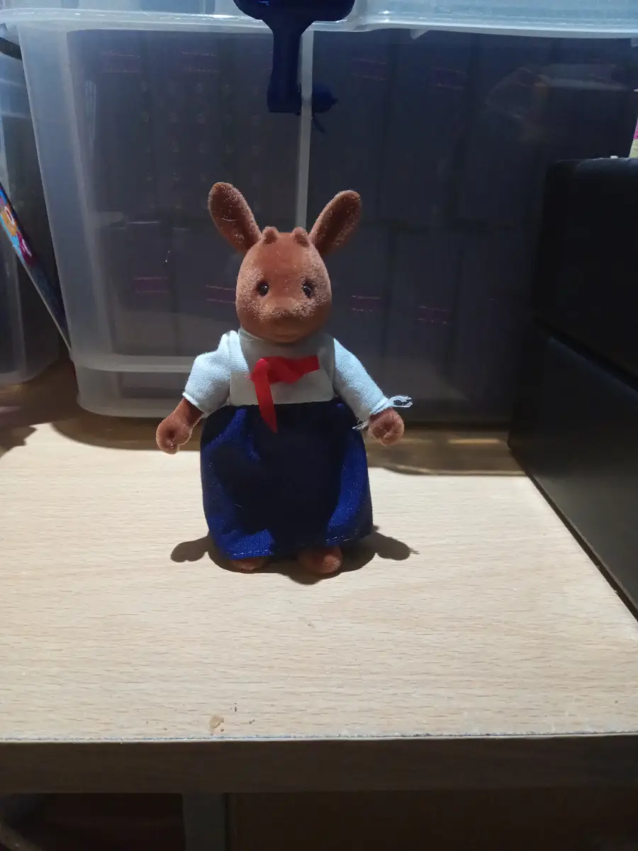 Miss Deer the teacher