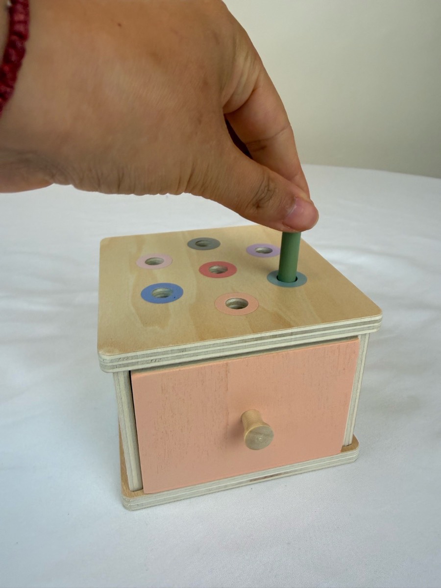 Wooden Colour Matching Drop Box | Montessori Fine Motor Skills Toy | Sorting Game