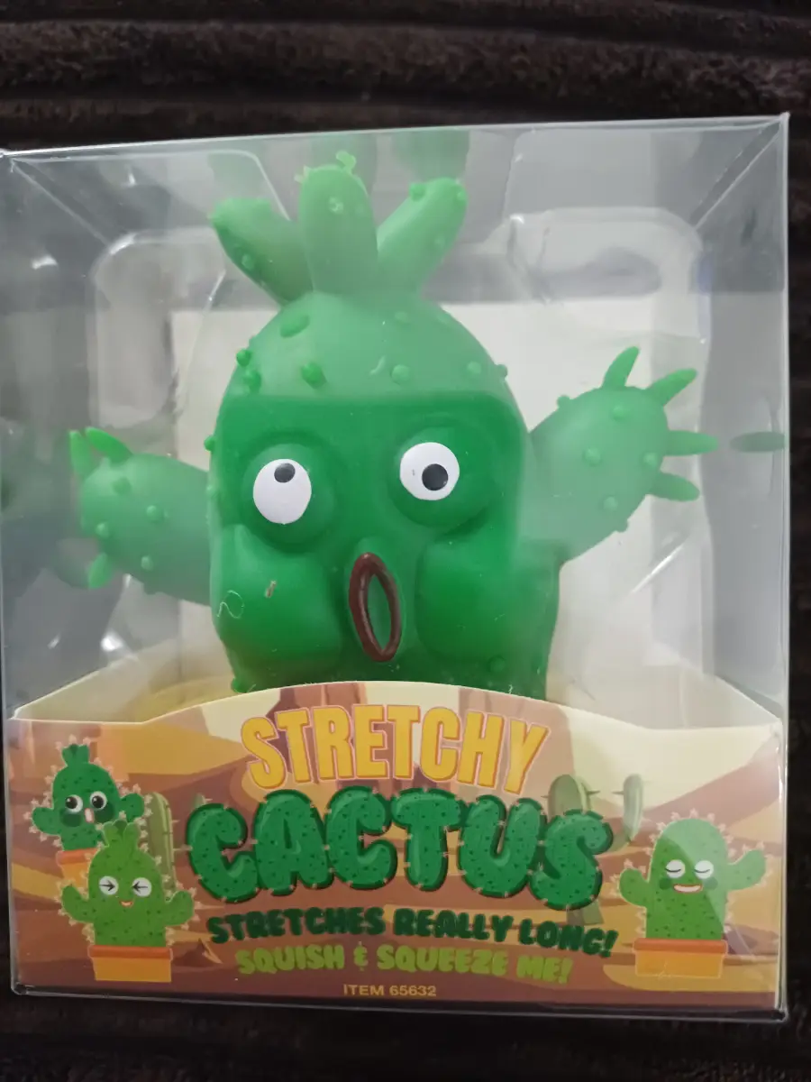 Stretchy cactus