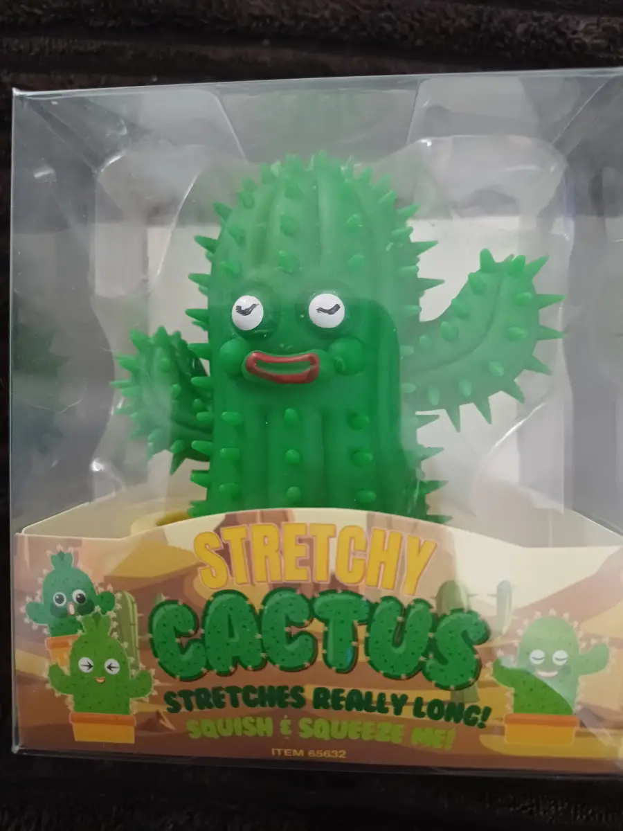 Prickly stretchy cactus