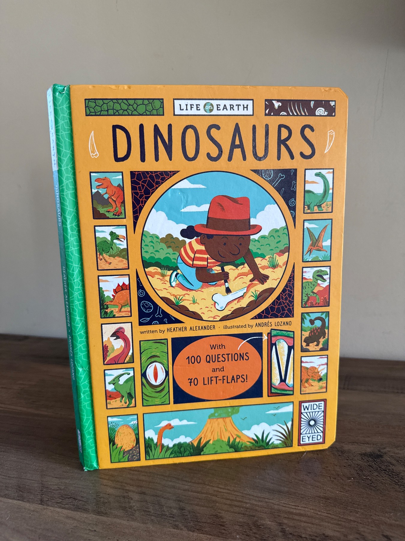 Lift the Flaps Dinosaur Book