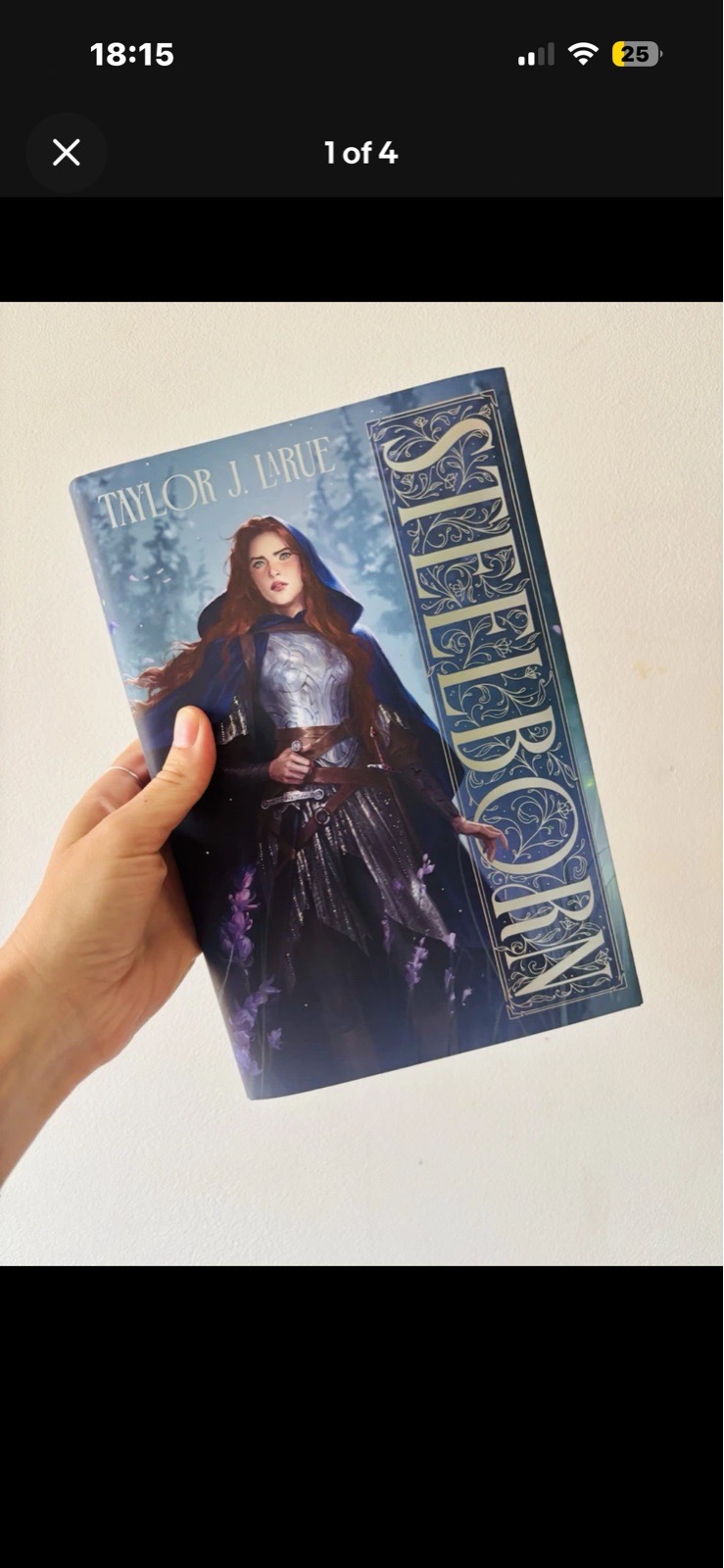 New in box steel born sprayed edge FairyLoot August adult sub book