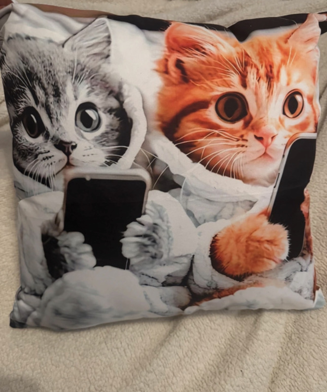 Cat cushion