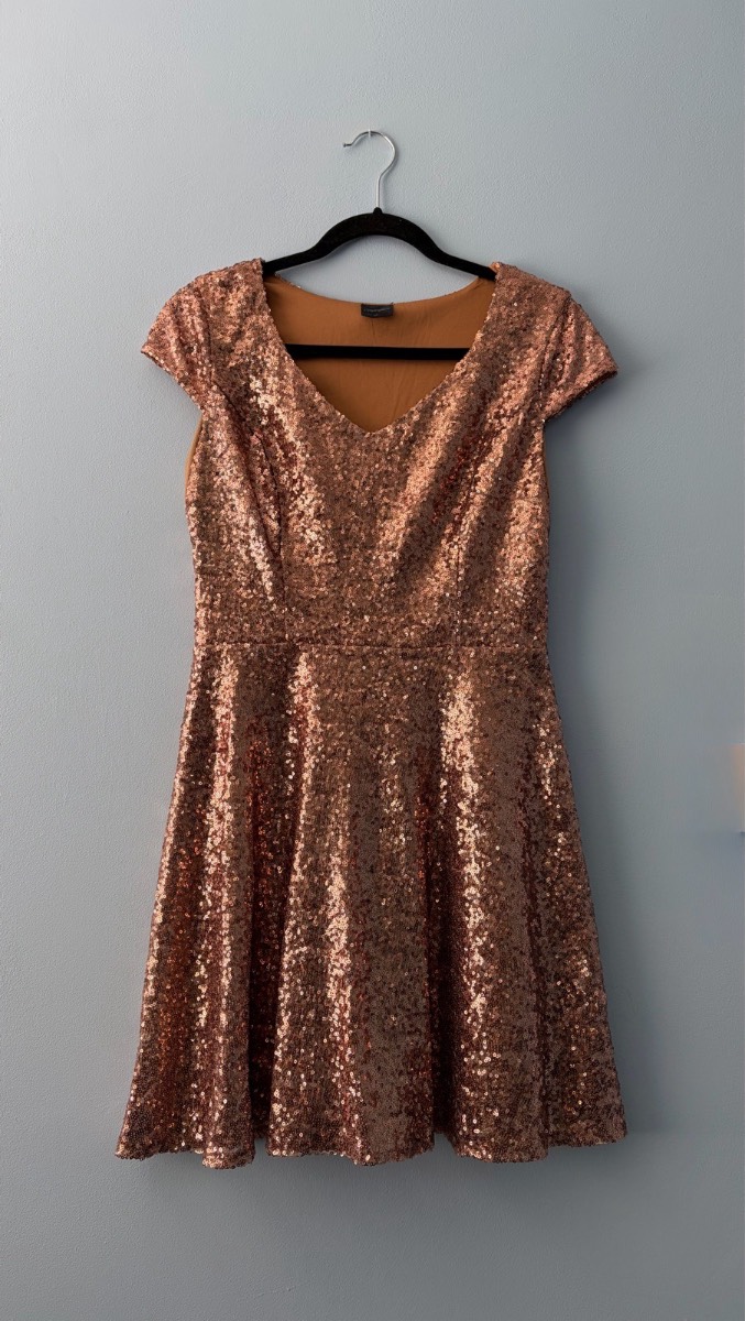 Cupcake sequin party skater dress short sleeve women size 10