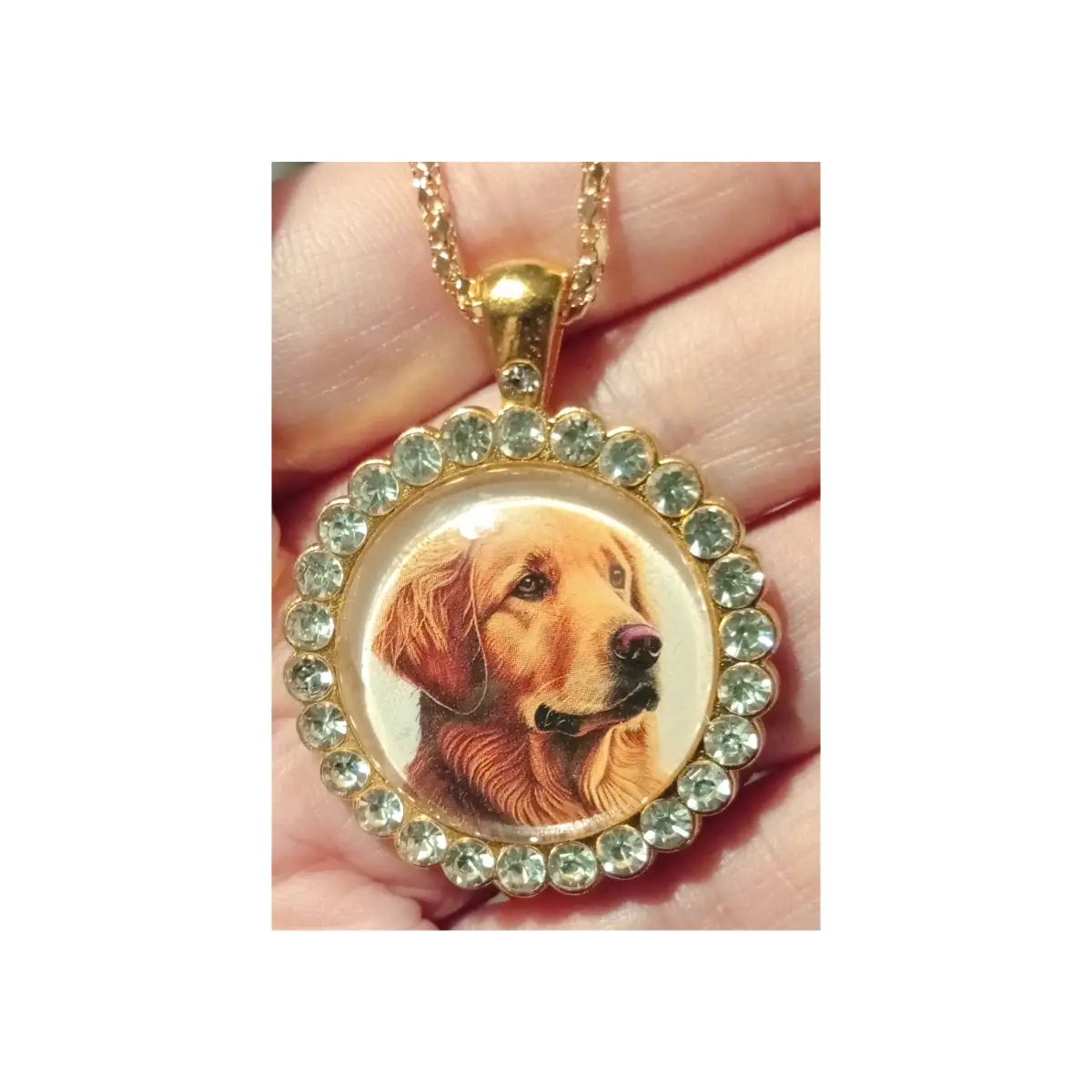 Golden Labrador retriever pendant / necklace. Boxed.