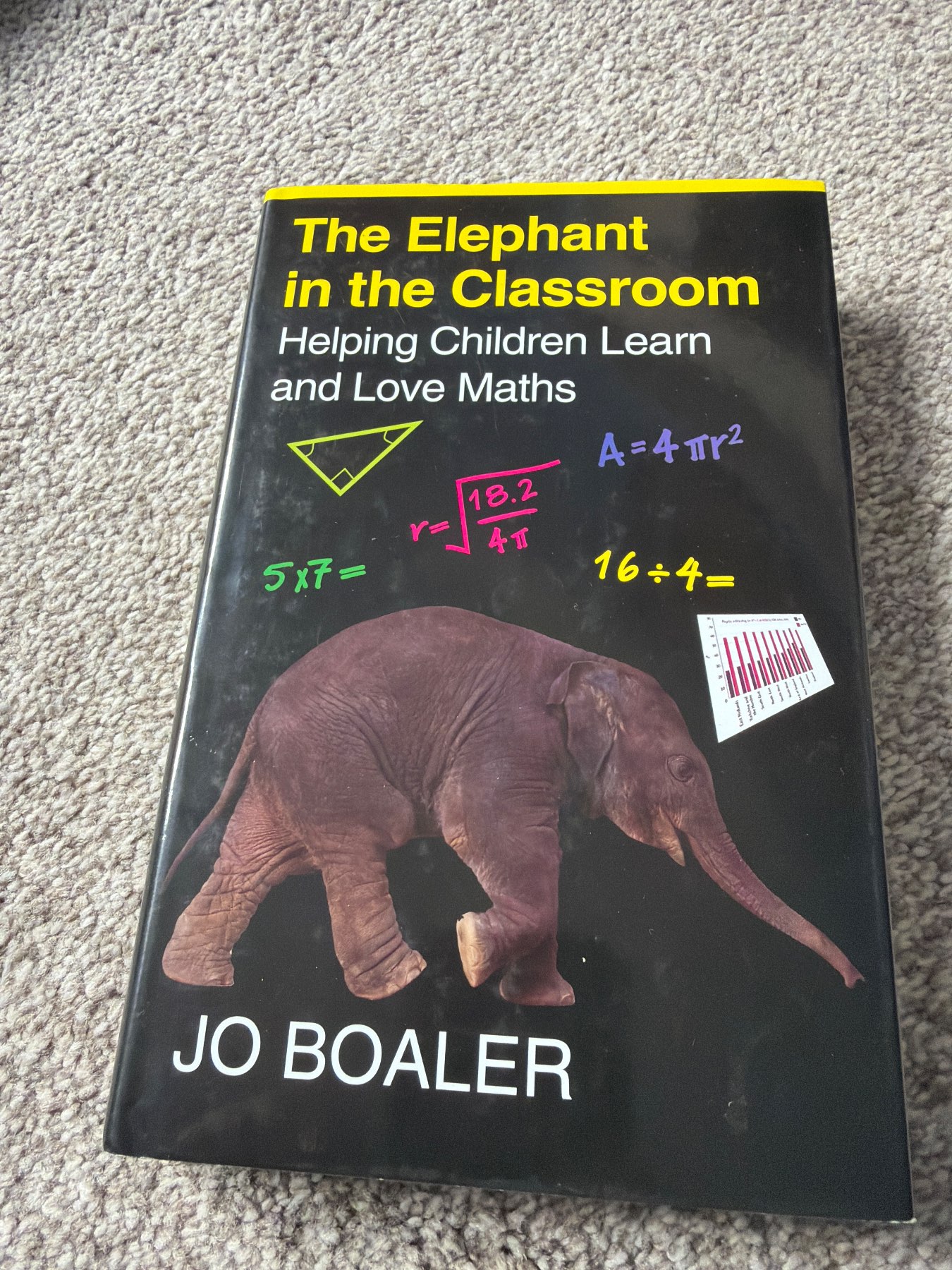 Elephant in the classroom