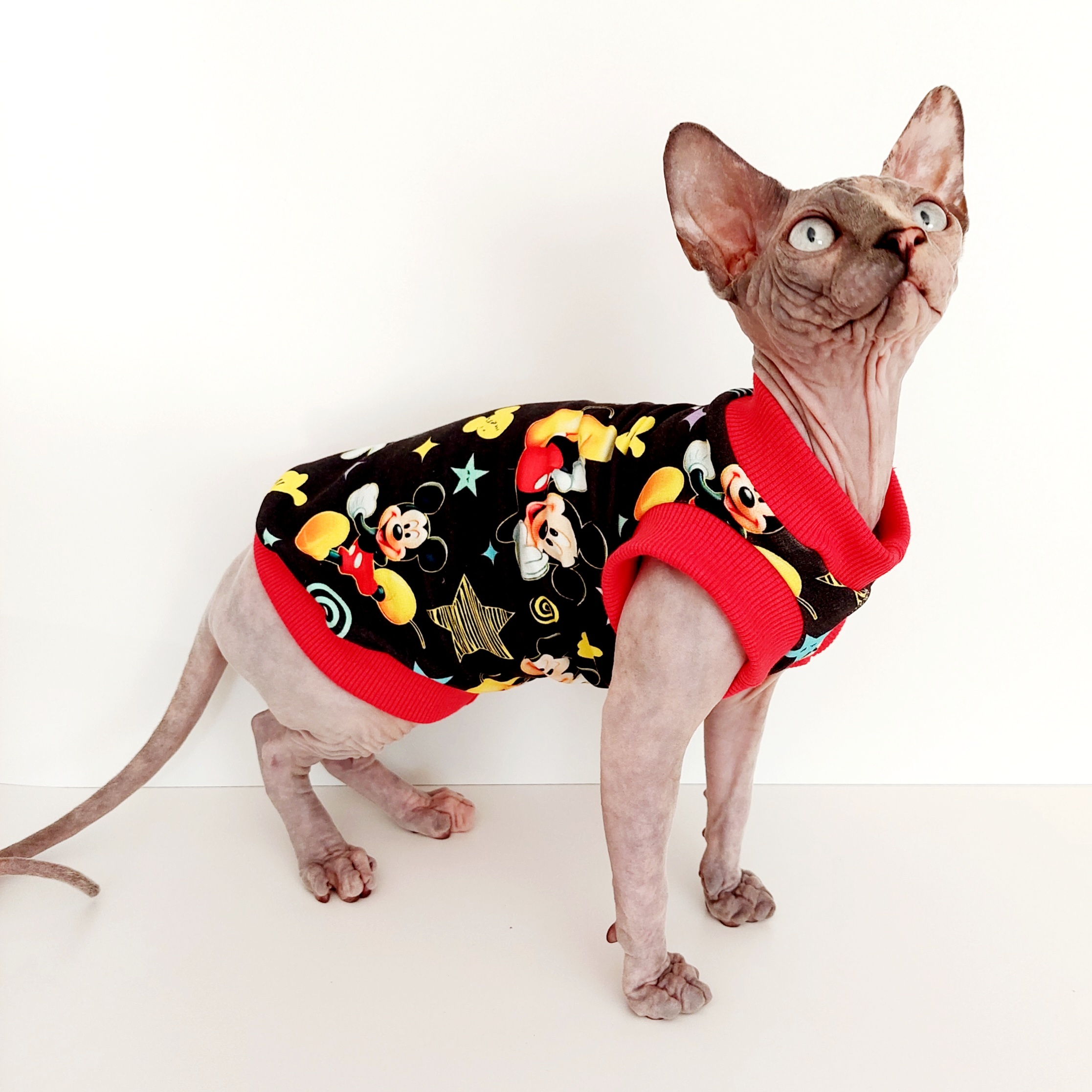 Sphynx Cat Top Size S
