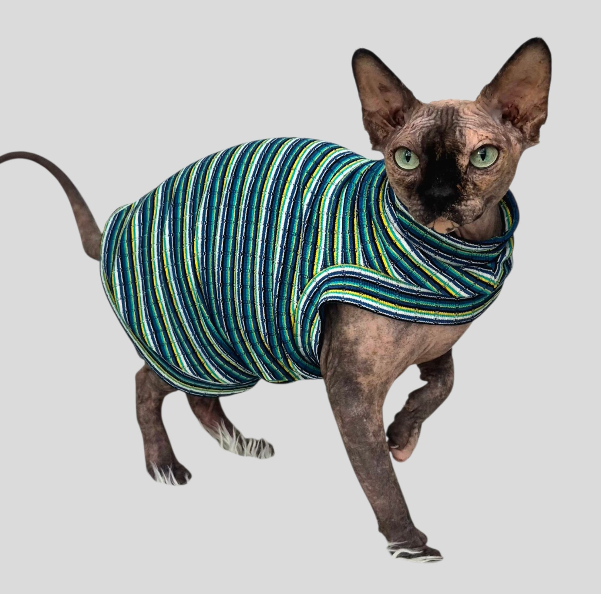 Sphynx Cat Ribbed top M