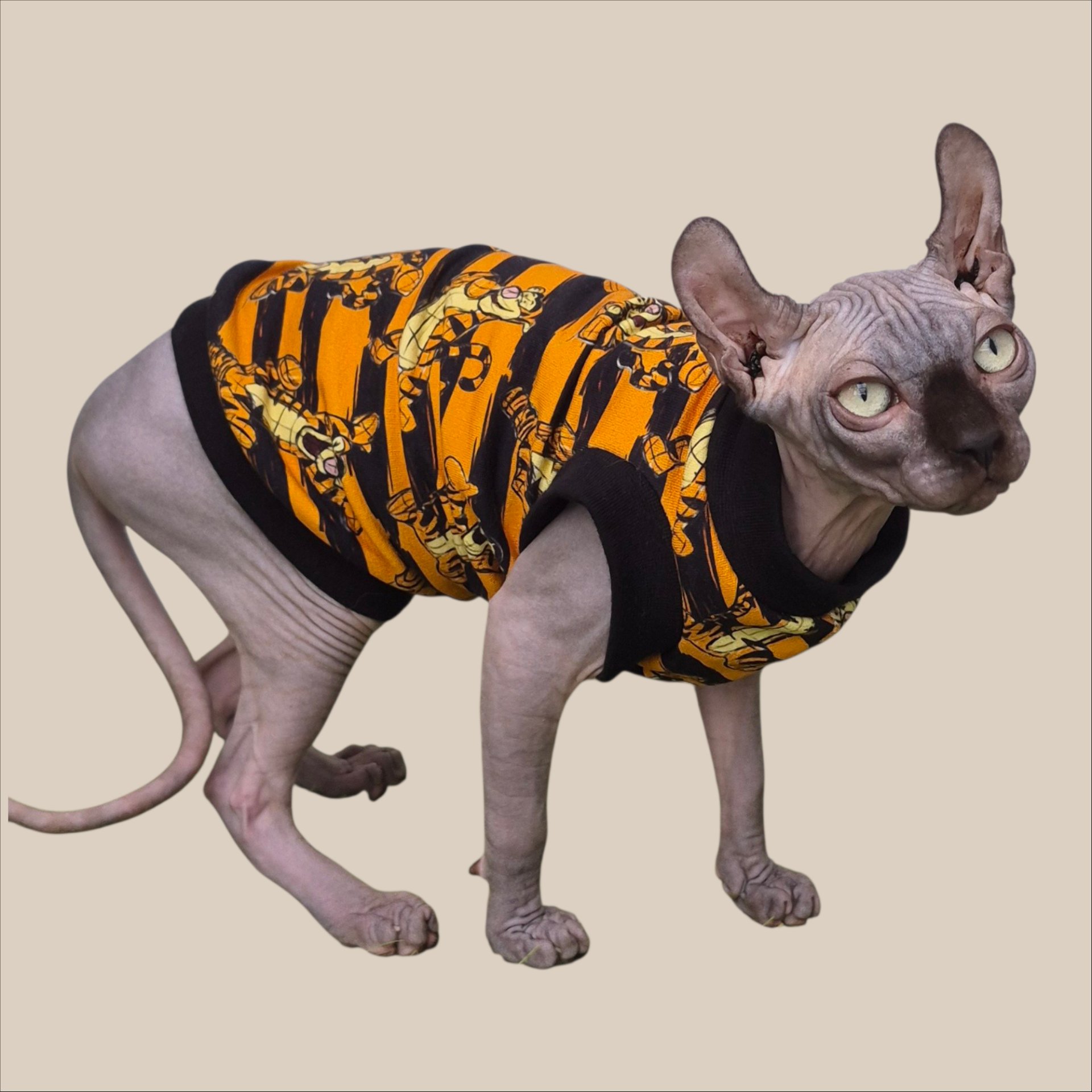 Sphynx Cat Top Small