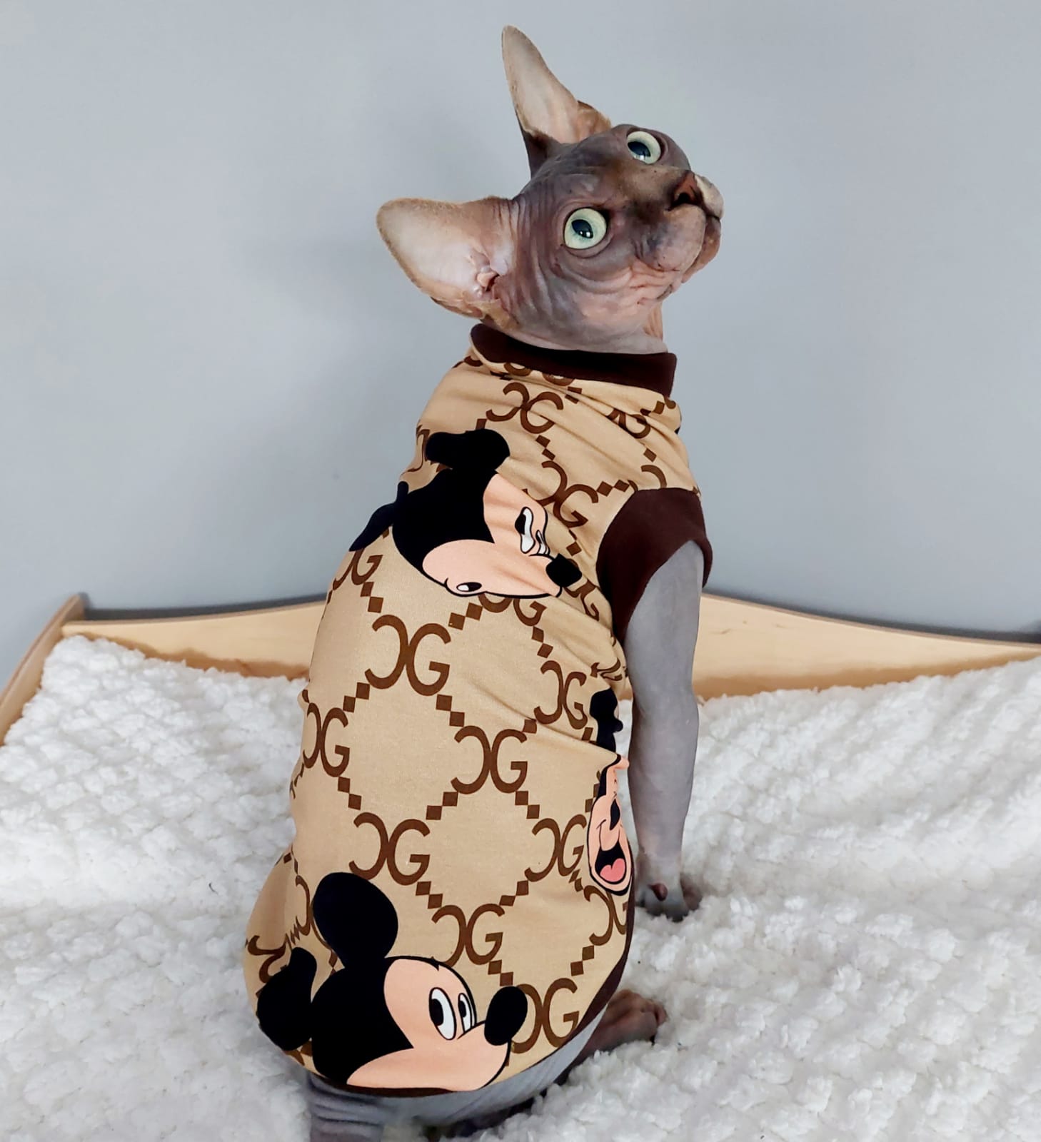 Sphynx Cat top Large