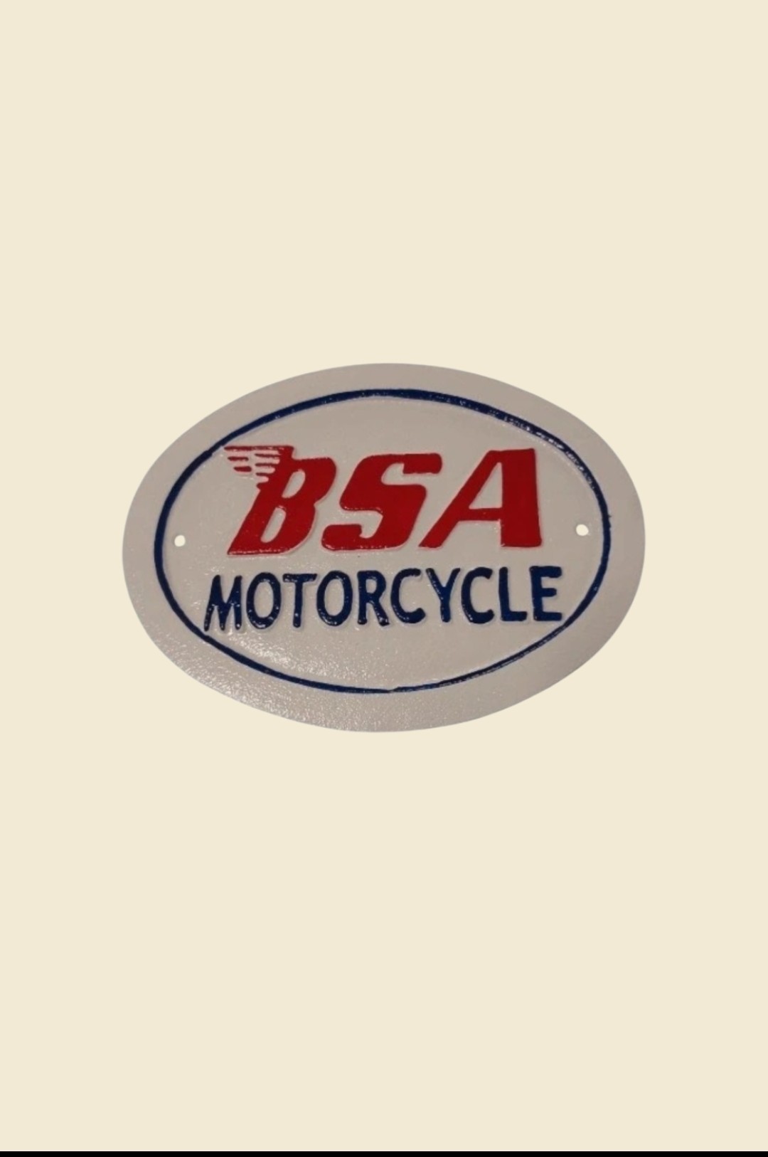 🏁 Vintage Cast Iron BSA Motorcycle Oval Wall Plaque – Classic Retro Garage 30x22.5cm