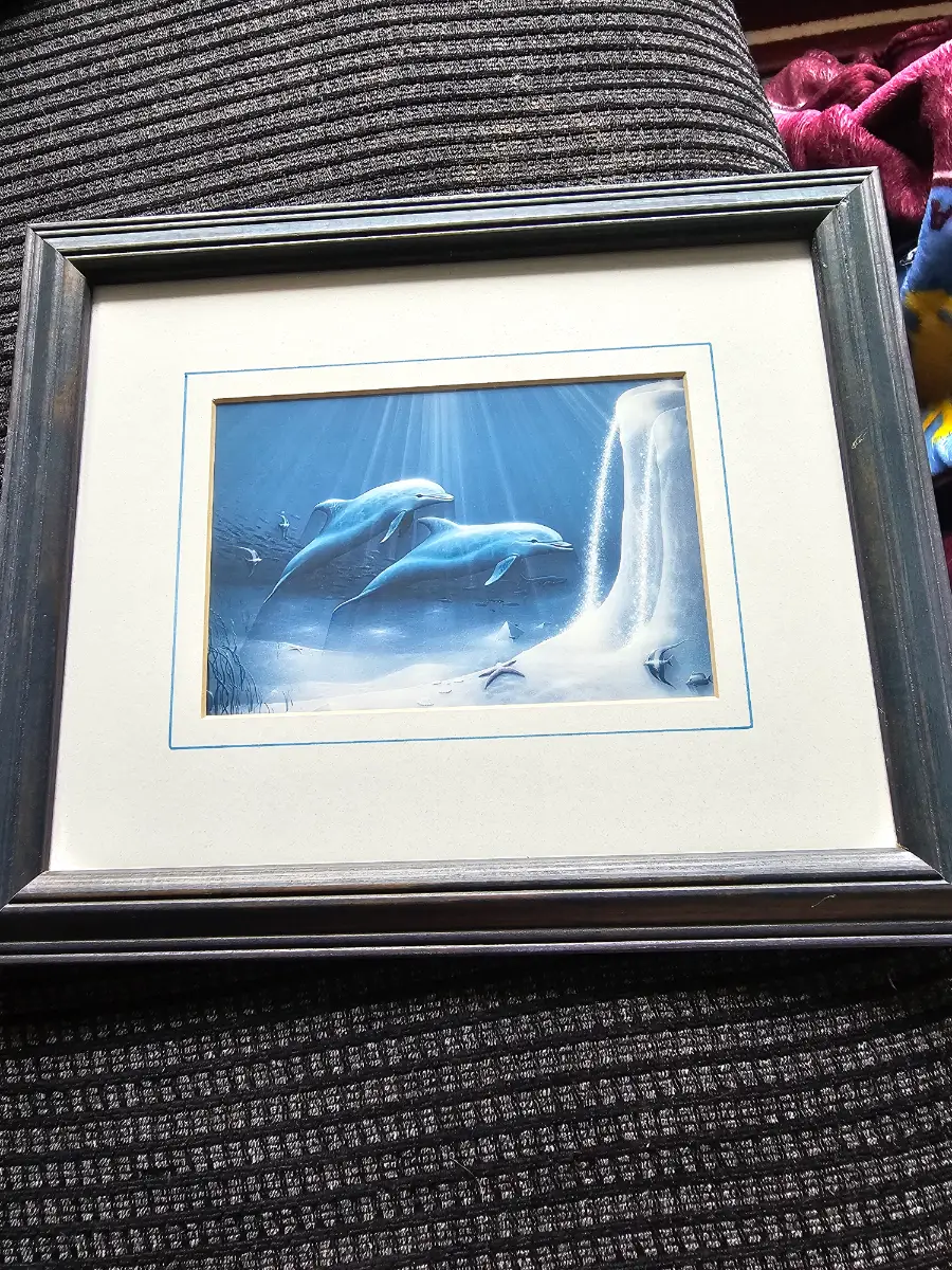 Framed Dolphin Underwater Art Print