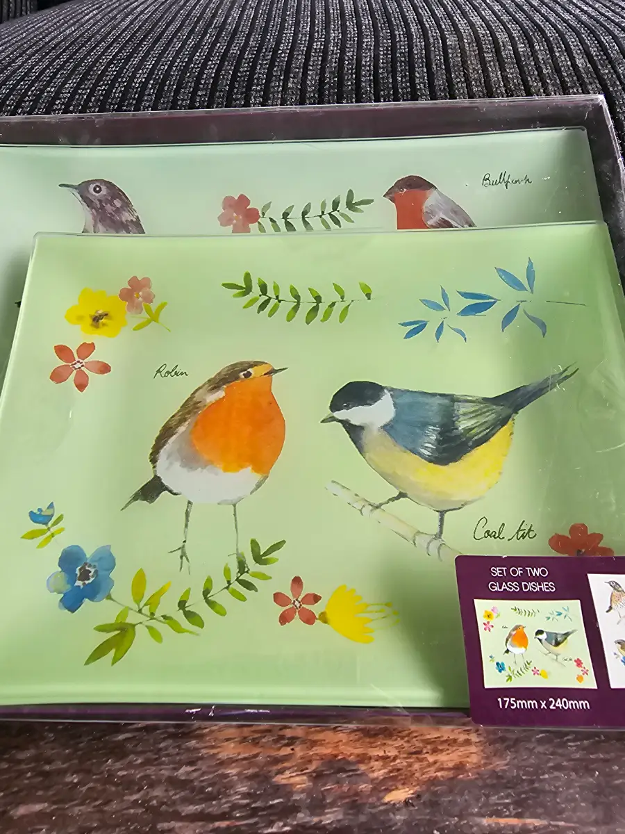 Set of Two Bird‑Design Glass Dishes – NEW – Birds & Floral Design